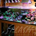 海老沼様　1800Ｘ700Ｘ600オーバーフロー水槽