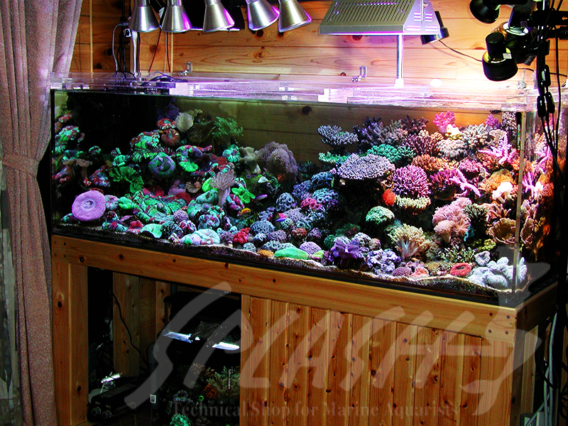 海老沼様　1800×700×600オーバーフロー水槽