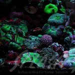 海老沼様　1800Ｘ700Ｘ600オーバーフロー水槽