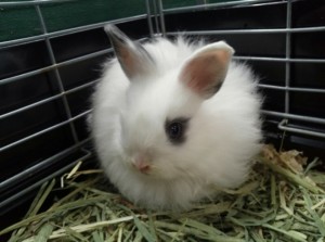 20150219_225505iwatsuki - 6 