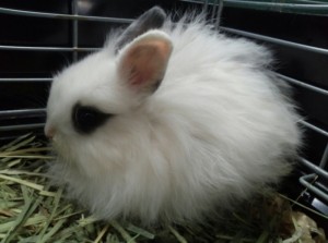 20150219_225523iwatsuki - 5 