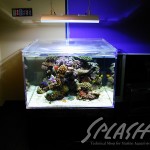 福井様　900Ｘ900Ｘ600オーバーフロー水槽