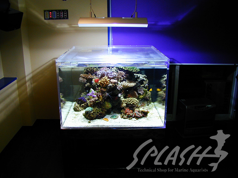 福井様　900Ｘ900Ｘ600オーバーフロー水槽