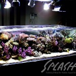 松尾様 1800Ｘ900Ｘ500オーバーフロー水槽