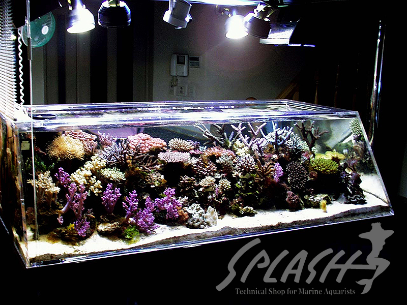 松尾様 1800Ｘ900Ｘ500オーバーフロー水槽