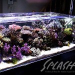 松尾様 1800Ｘ900Ｘ500オーバーフロー水槽