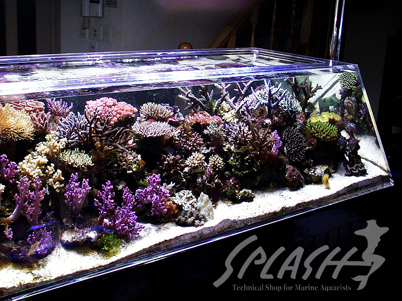 松尾様 1800Ｘ900Ｘ500オーバーフロー水槽