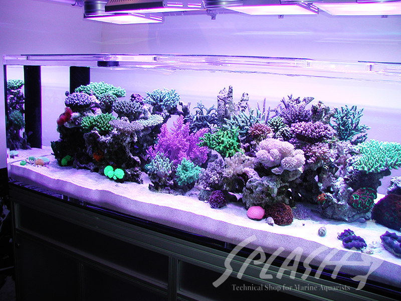 大久保様　オーバーフロー水槽