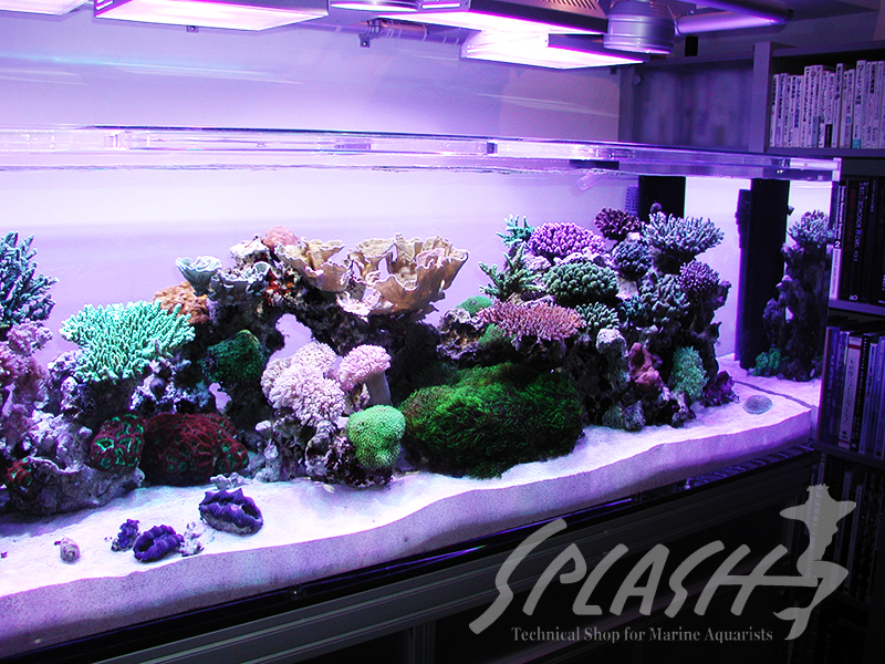 大久保様　オーバーフロー水槽