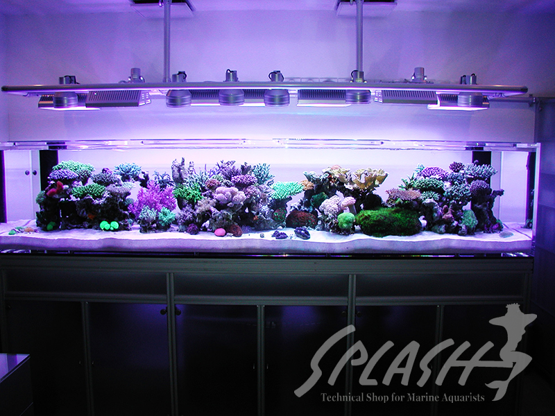 大久保様　オーバーフロー水槽