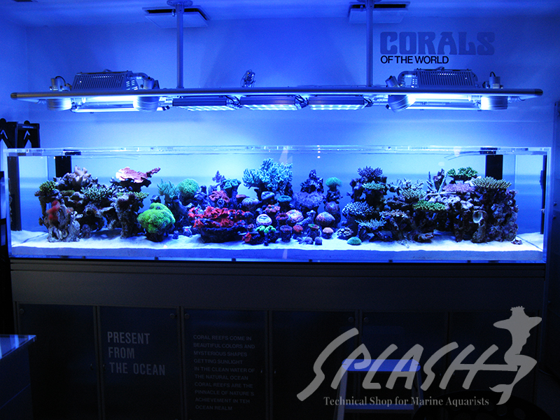 大久保様　2013年　オーバーフロー水槽