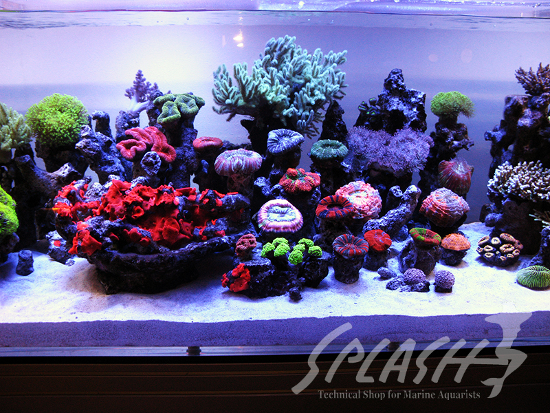 大久保様　2013年　オーバーフロー水槽