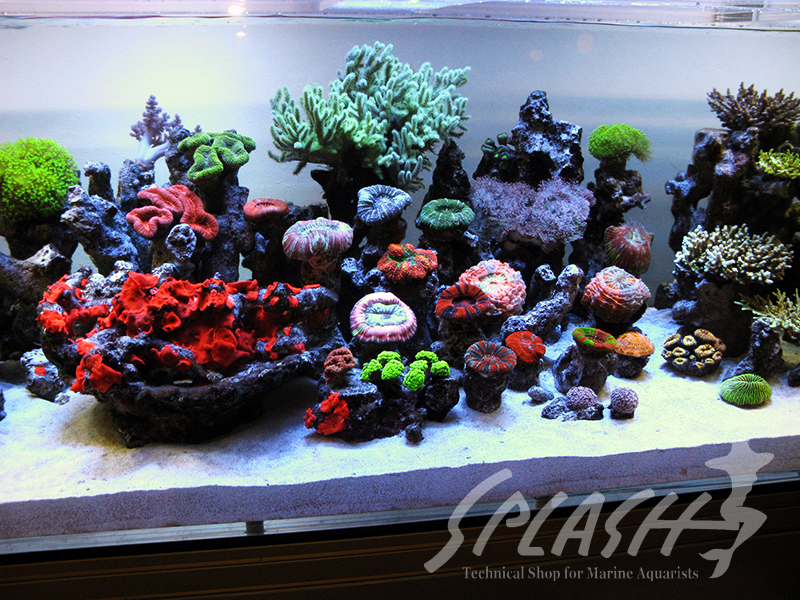 大久保様　2013年　オーバーフロー水槽