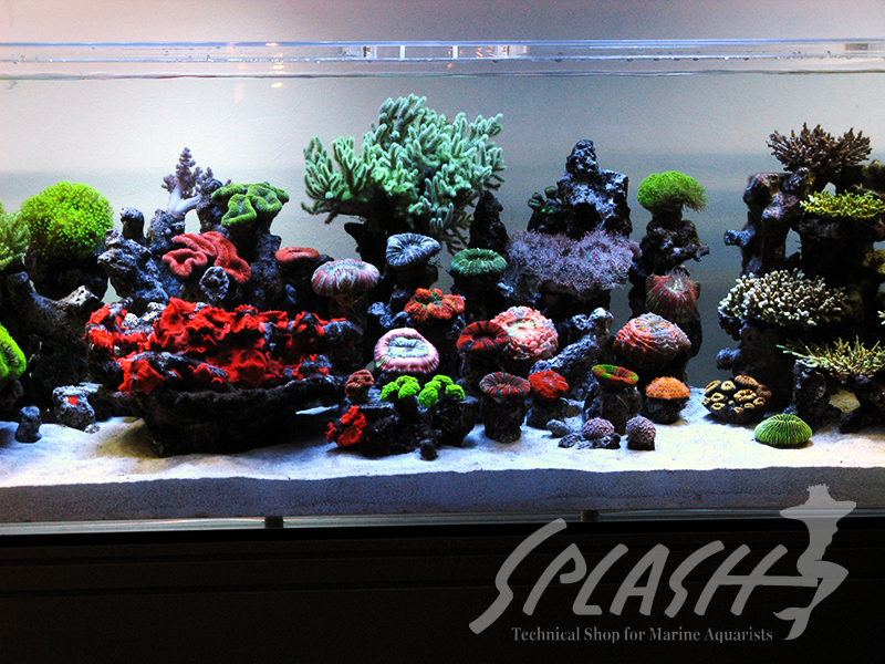 大久保様　2013年　オーバーフロー水槽