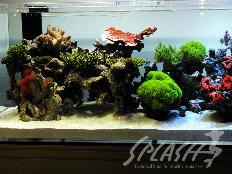 大久保様　2013年　オーバーフロー水槽