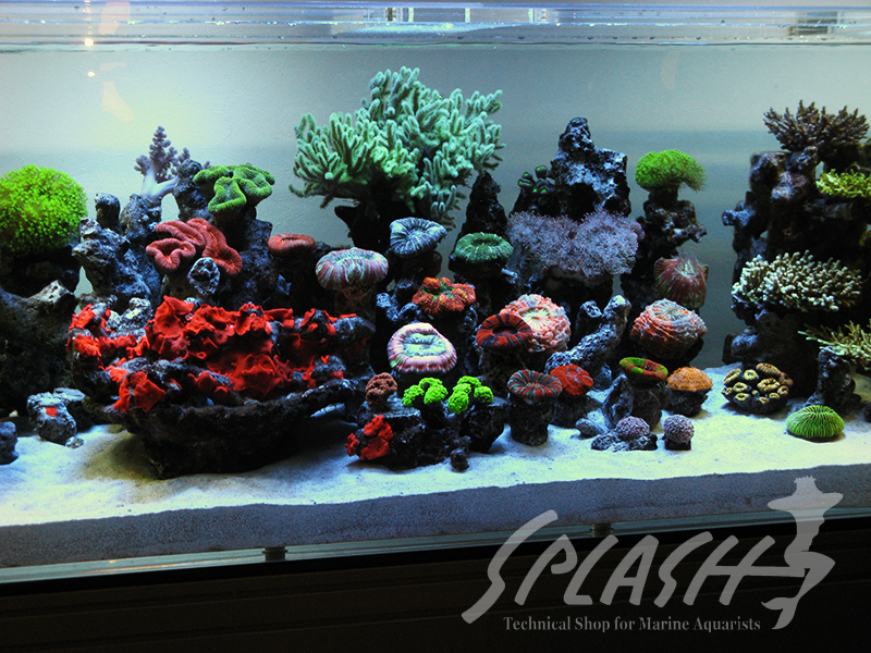 大久保様　2013年　オーバーフロー水槽