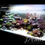 武田様　1500×600×600オーバーフロー水槽