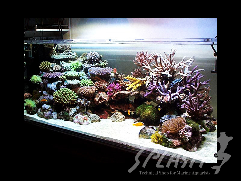 武田様　1500×600×600オーバーフロー水槽