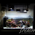 武田様　1500×600×600オーバーフロー水槽