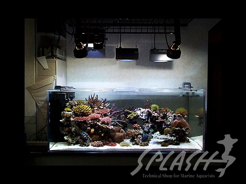 武田様　1500×600×600オーバーフロー水槽