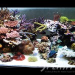 武田様　1500×600×600オーバーフロー水槽