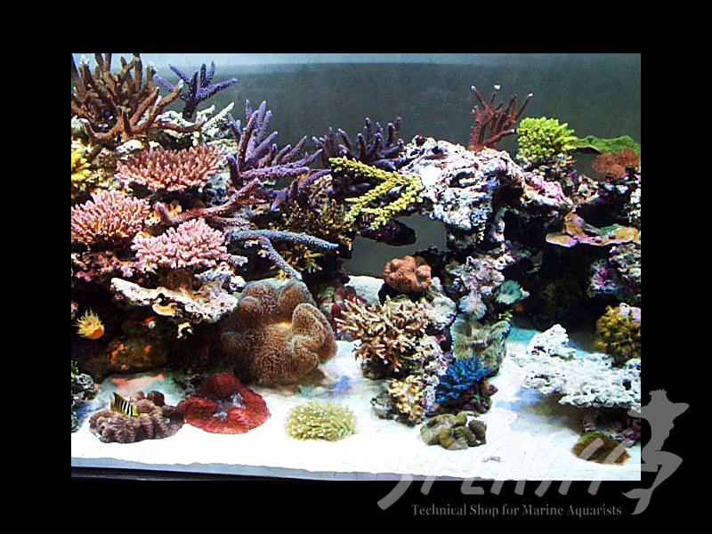 武田様　1500×600×600オーバーフロー水槽