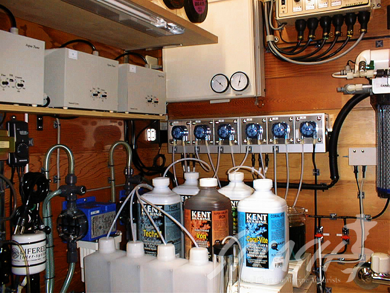 米本様　オーバーフロー水槽