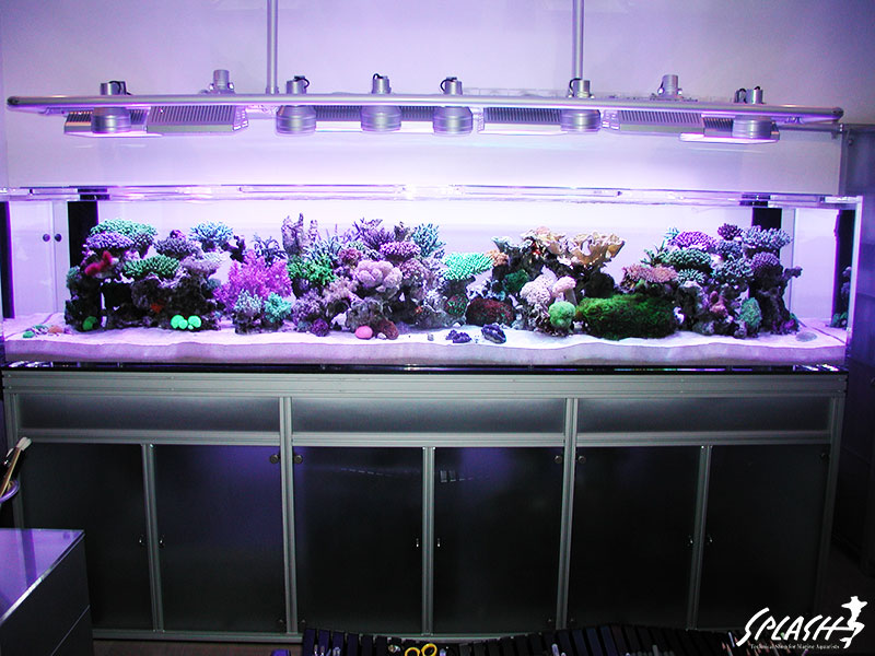 スプラッシュお客様オーバーフロー水槽