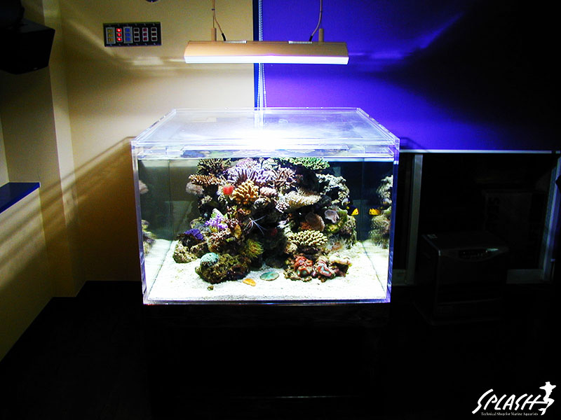 スプラッシュお客様オーバーフロー水槽