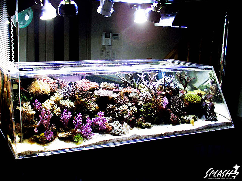 スプラッシュお客様オーバーフロー水槽