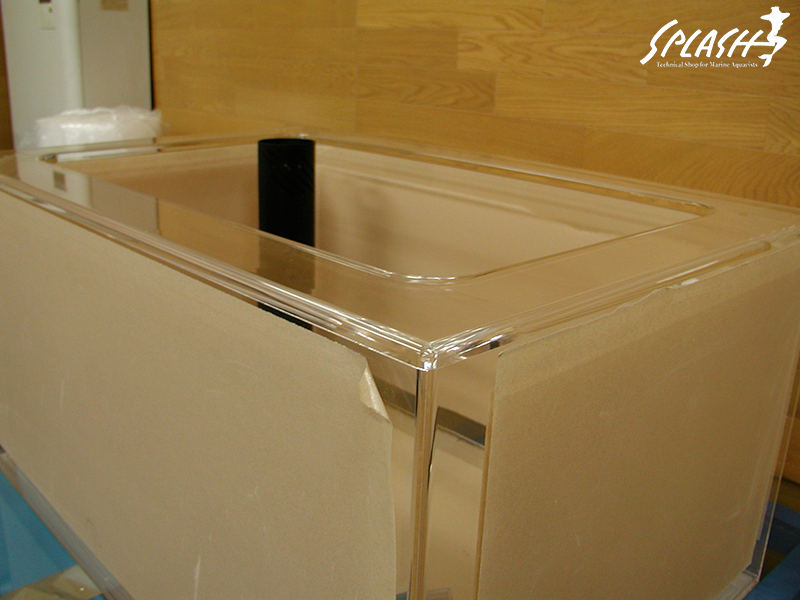 スプラッシュのオーバーフロー水槽は安心!安全!損害賠償保険にも加入済み