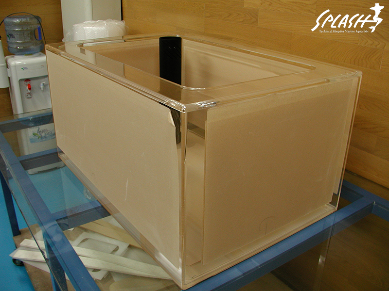 スプラッシュのオーバーフロー水槽は安心!安全!損害賠償保険にも加入済み