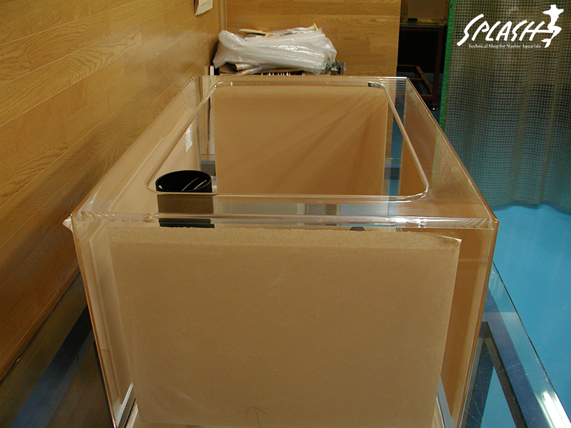 スプラッシュのオーバーフロー水槽は安心!安全!損害賠償保険にも加入済み