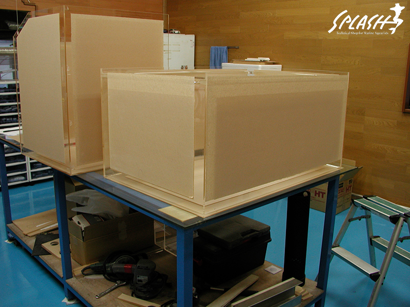 スプラッシュのオーバーフロー水槽は安心!安全!損害賠償保険にも加入済み