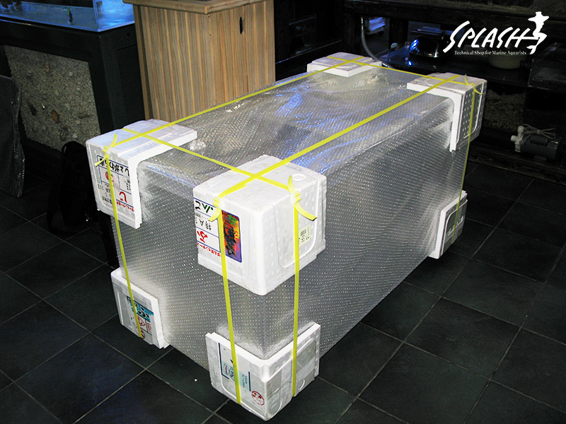 スプラッシュのオーバーフロー水槽は安心!安全!損害賠償保険にも加入済み