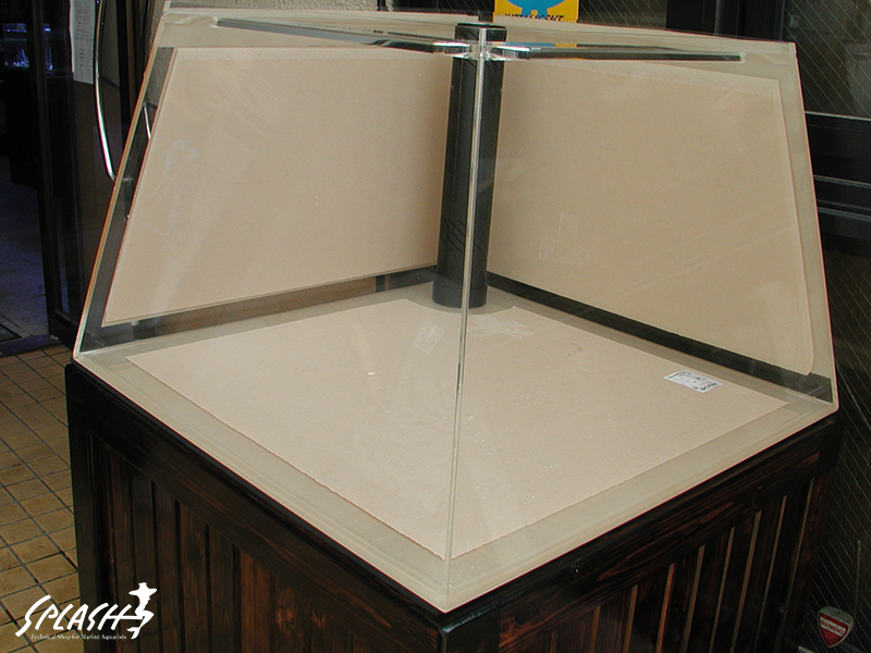 スプラッシュのオーバーフロー水槽は安心!安全!損害賠償保険にも加入済み