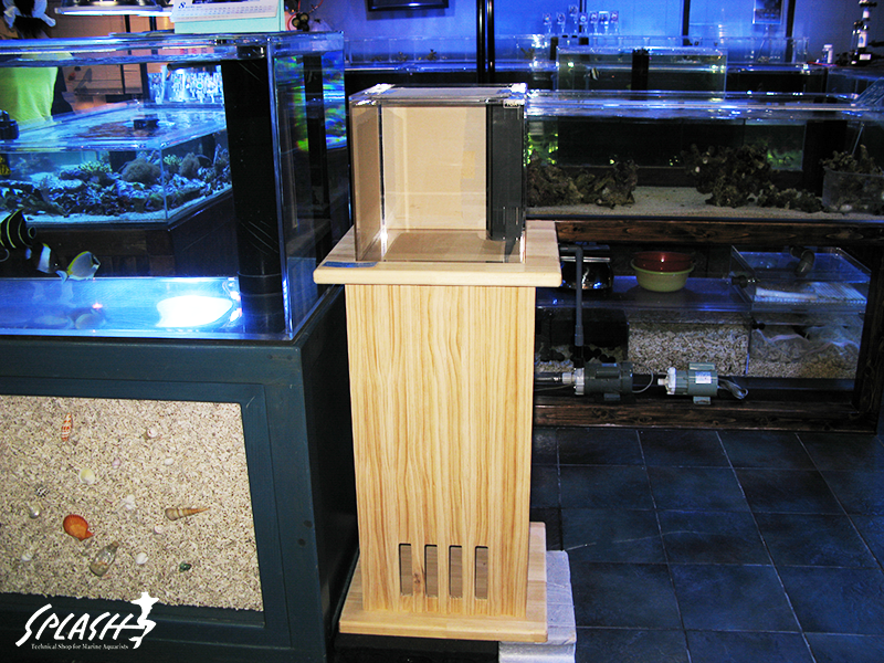 スプラッシュのオーバーフロー水槽は安心!安全!損害賠償保険にも加入済み