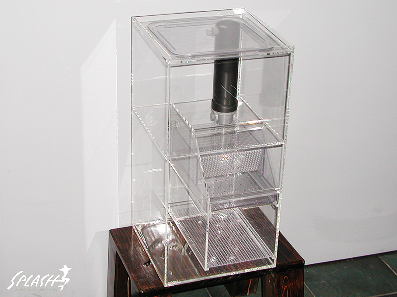 スプラッシュのオーバーフロー水槽は安心!安全!損害賠償保険にも加入済み