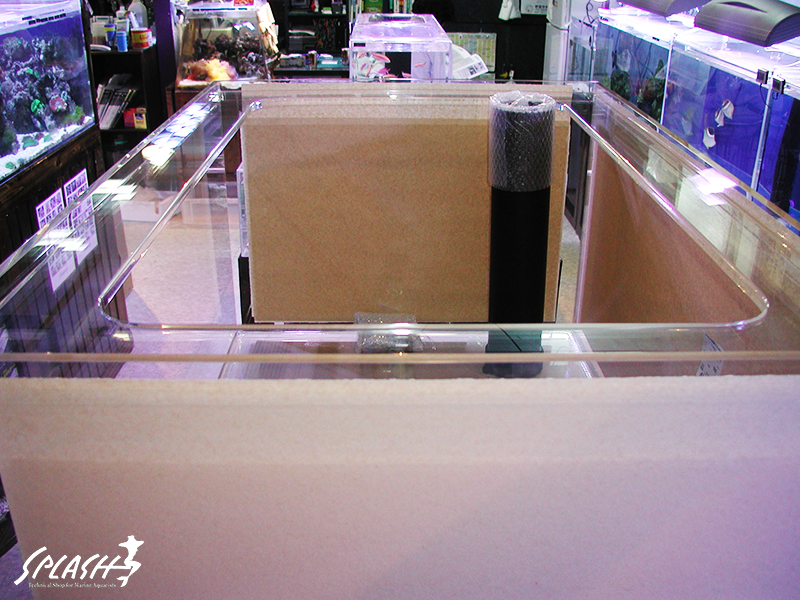 スプラッシュのオーバーフロー水槽は安心!安全!損害賠償保険にも加入済み