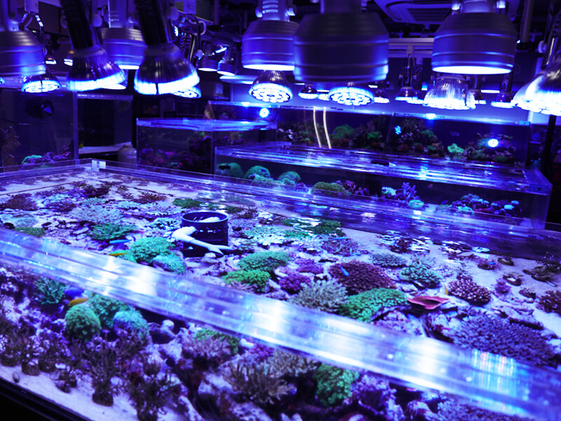 スプラッシュ店舗情報