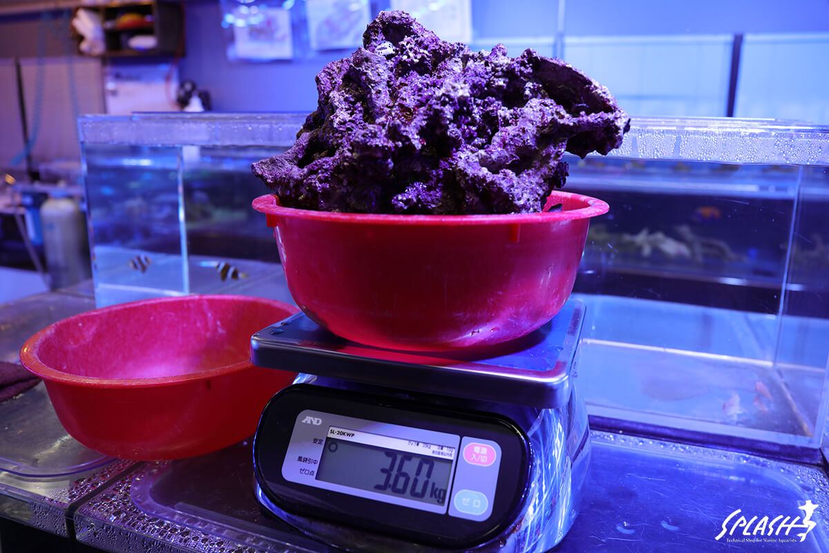 ノーマル状ライブロックの軽量例(約4キロ:3.60キロ)