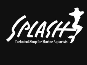 スプラッシュ本店