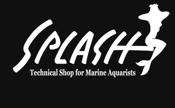 スプラッシュ本店